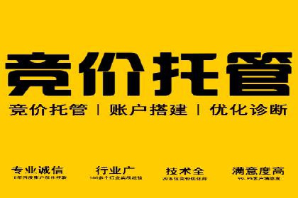 SEO与SEM融合策略：成功案例解析